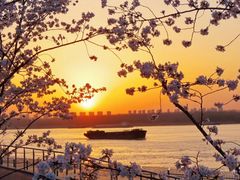 -幕燕滨江·燕子矶公园