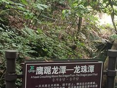 -藏龙百瀑风景区