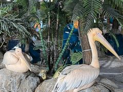 -海合安武汉极地海洋公园