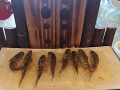 泰山赤鳞鱼，又名螭霖鱼-神憩宾馆-餐厅