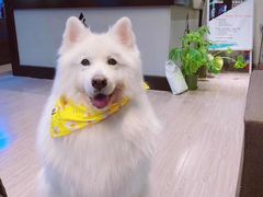 -RoMan罗马健身工作室(莘庄店)