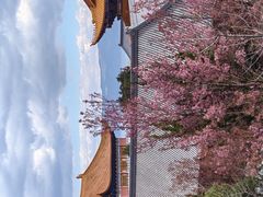 -崇圣寺三塔文化旅游区