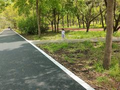 -长白岛森林公园