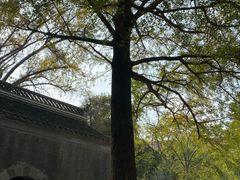 -南山风景名胜区