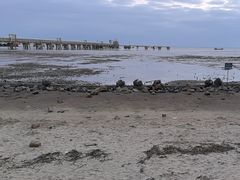 -平湖九龙山旅游度假区