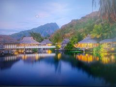 -Dr.t茶博士(广技师店)