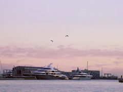 -小巴塞罗那海滩