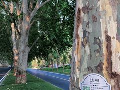 -河南省黄河迎宾馆