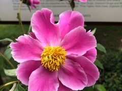 -广西壮族自治区药用植物园