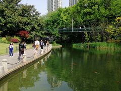 -徐家汇公园