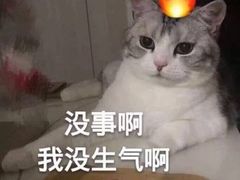 -谷田稻香