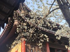 -灵谷景区