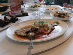 -侨美·唐荔园·40年地道粤菜