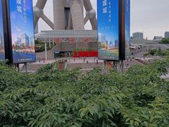 -东方明珠广播电视塔