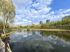 -群力丁香公园