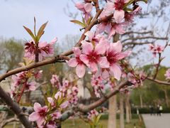 -廊坊文化艺术中心