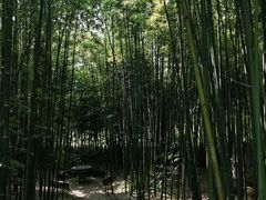 -泰山风景名胜区-普照寺