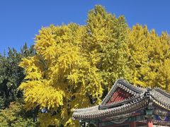 -申德勒加油站西餐厅(日坛路总店)