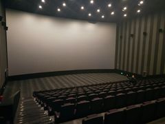 -金逸影城(武汉人信汇IMAX店)