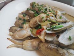 葱姜炒蛏子-莆鑫海鲜城(浏河店)