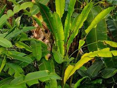 -北京植物园-展览温室