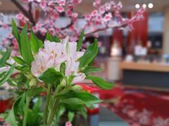 -北京中国大饭店