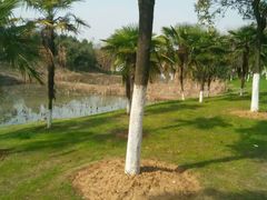 -艾溪湖湿地公园