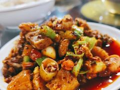 -天一沾水肥肠(科园一街店)