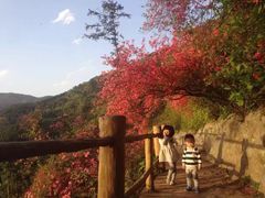 -木兰云雾山