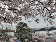 -南浦大桥长途旅游客运站