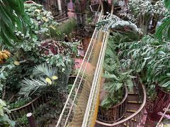 -正佳雨林生态植物园