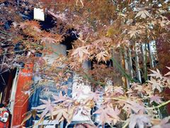 -古大圣慈寺