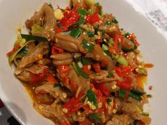 鸭掌筋-壹盏灯(惠农店)
