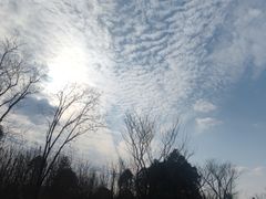 -白鹭湾湿地公园