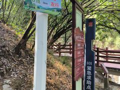 -广州白江湖森林公园