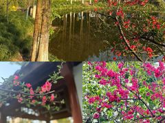 -重庆彩云湖湿地公园