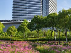 -春花秋色城市公园