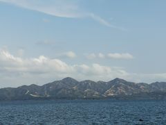 -深圳湾公园(南山区)