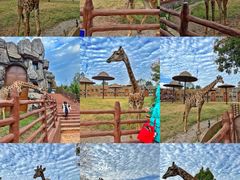 -济南野生动物世界