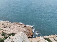 -广东惠东海龟国家级自然保护区