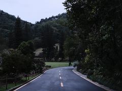 -深圳仙湖植物园