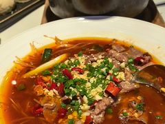 -侨美·唐荔园·40年地道粤菜