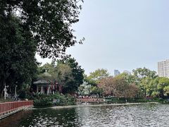 -荔湾湖公园