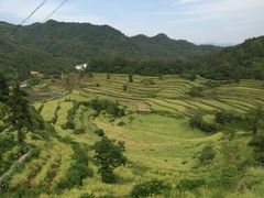 -灵山景区梯田