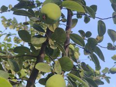 -终南山南五台景区