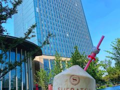 -新都绿城喜来登酒店大堂吧