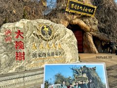 -大槐树寻根祭祖园