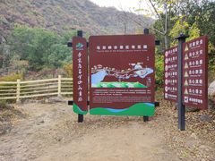 -百里山水画廊乌龙峡谷