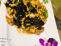 醋溜木须-兰州老马家美食(凤凰岭店)