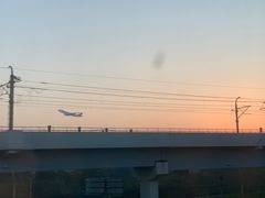 -龙阳路磁悬浮列车总站-停车场